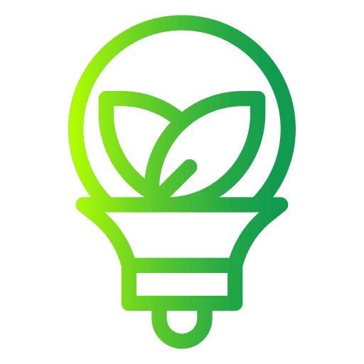 luz
